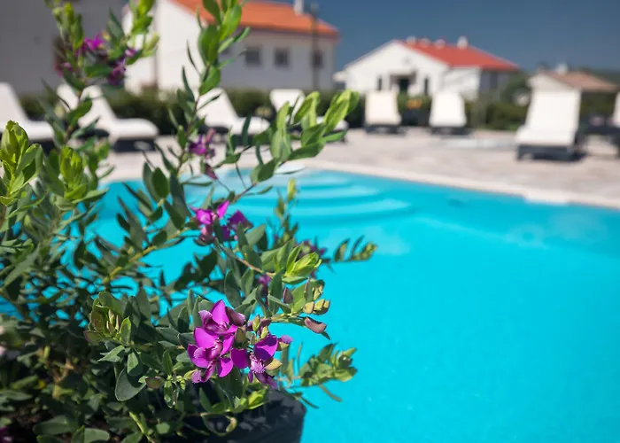 Maris Bed & Breakfast