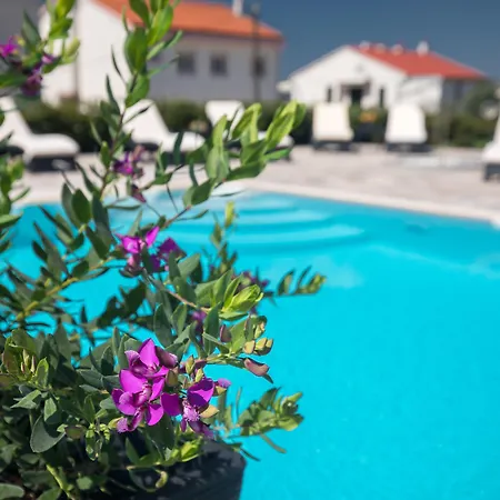 Maris Oda ve Kahvaltı